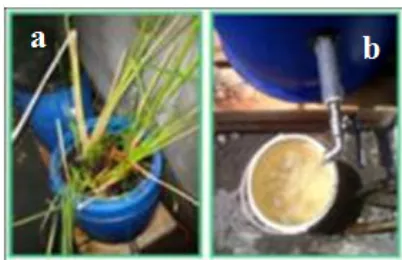 Figure 9. Wastewater collected from the WWTPoutlet (a), wastewater condition afterpassing through the filter at the firstdrum (b), and the second drum (c)