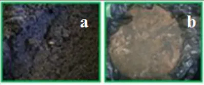 Table 2 it can be seen that pH of sediment beforeand after composting is at neutral conditions, thisshows that the pH of sediment already at optimumpH range to be used as fertilizer.