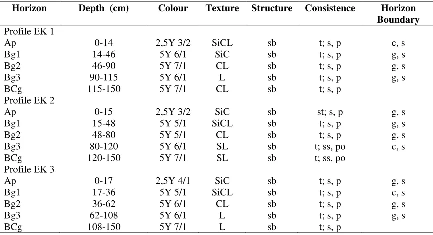 Table 2. Soil morphological characteristics