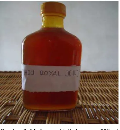 Gambar 3. Madu royal jelly kemasan 250 ml 