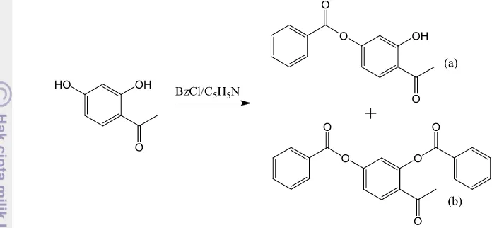 Gambar 10  Reaksi benzoilasi resasetofenon membentuk  p-benzoil resasetofenon  