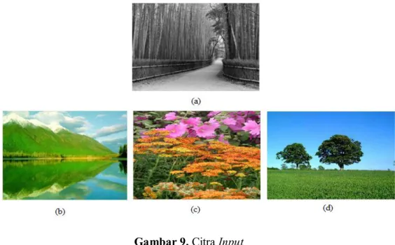 Gambar 9. Citra Input  