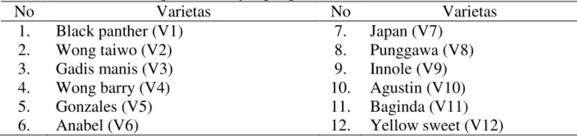 Tabel 1. Varietas semangka hibrida yang digunakan 