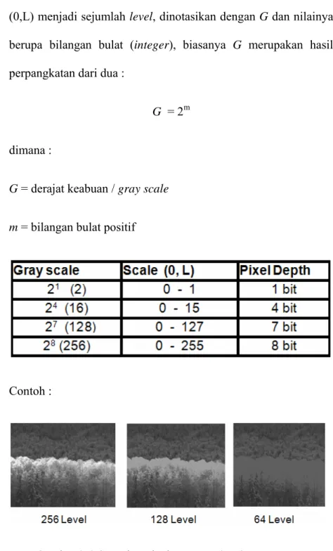 Gambar 2.4 Contoh perbedaan Gray-level quantization 