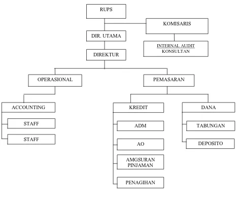 Gambar 4.1 Struktur Organisasi BPR Damata Arta Nugraha 