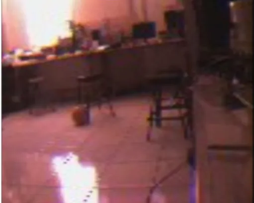 Gambar 4.9 Citra RGB 