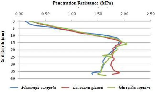 Figure 2. Soil penetration resistance in three alley cropping systems
