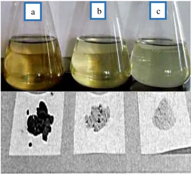 Gambar 8.  Ekstraksi filtrat bakteri endofit  dan pembuatan crude filtrat bakteri endofit   (a) B9, (b)