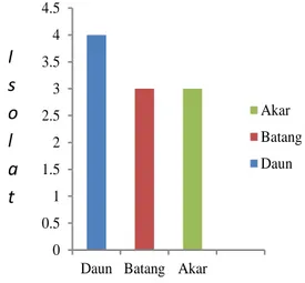 Gambar  4.  Jumlah  bakteri  endofit  terisolasi  dari  daun,  batang  dan  akar  tanaman tebu