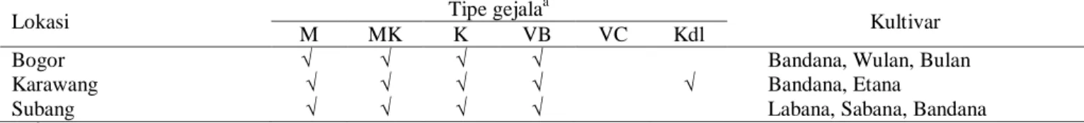 Tabel 2.  Variasi gejala infeksi virus pada tanaman mentimun di Jawa Barat 