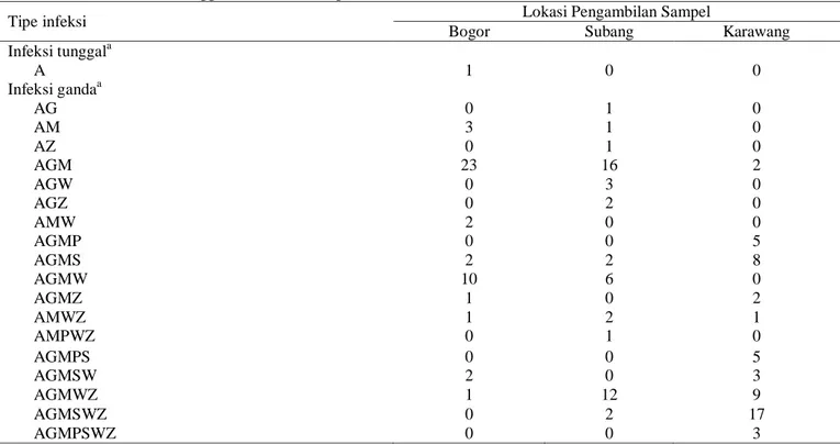 Tabel 4.  Frekuensi infeksi tunggal dan infeksi campuran virus (%) 