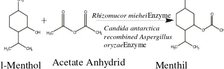 Figure 1. Estimates reaction acetilation enzimatic l-mentol be mentil acetate. Acetate