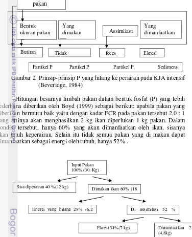 Gambar 2  Prinsip-prinsip P yang hilang ke perairan pada KJA intensif 