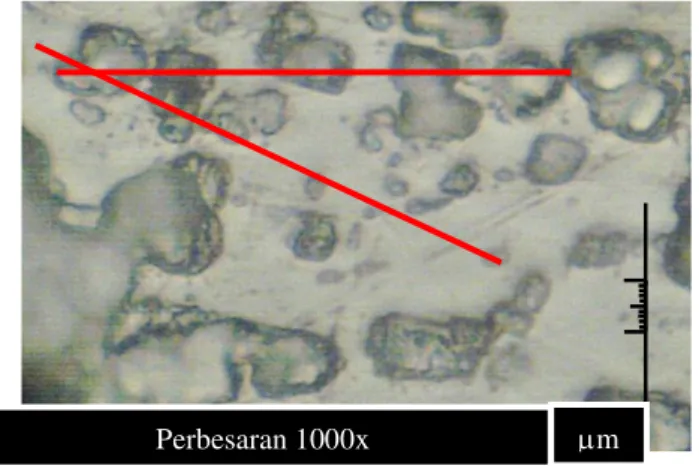 Gambar 5. Bentuk struktur mikro spesimen setelah pengujian Stress Corrosion Cracking dengan pembebanan 15kg