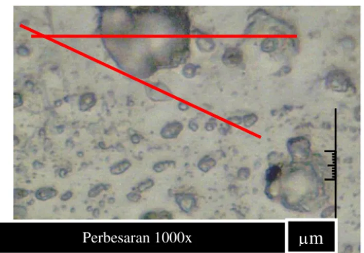 Gambar 7. Bentuk struktur mikro spesimen setelah pengujian Stress Corrosion Cracking dengan pembebanan 25kg