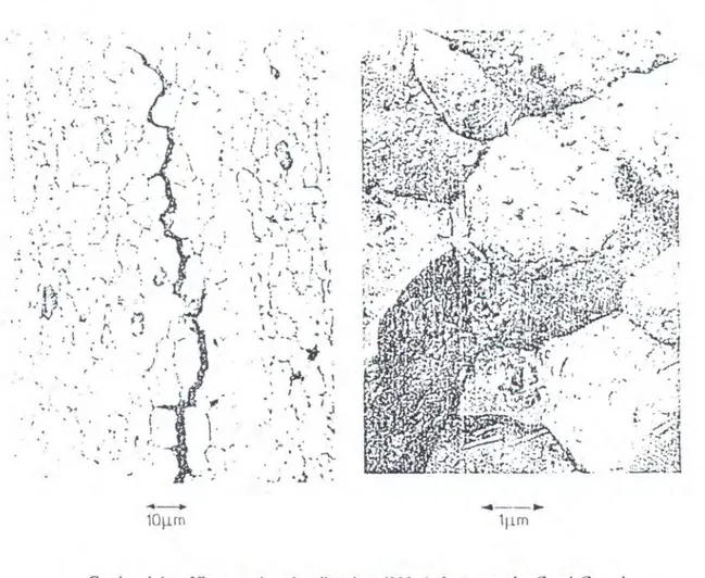 Gambar 4.4.a.  Ujung retak pada mikroskop (900 x) .  lntergranular  Crack  Growth. 