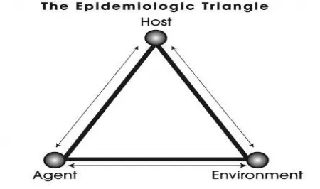Gambar 2.3 Model  Kausasi Segitiga Epidemiologi 
