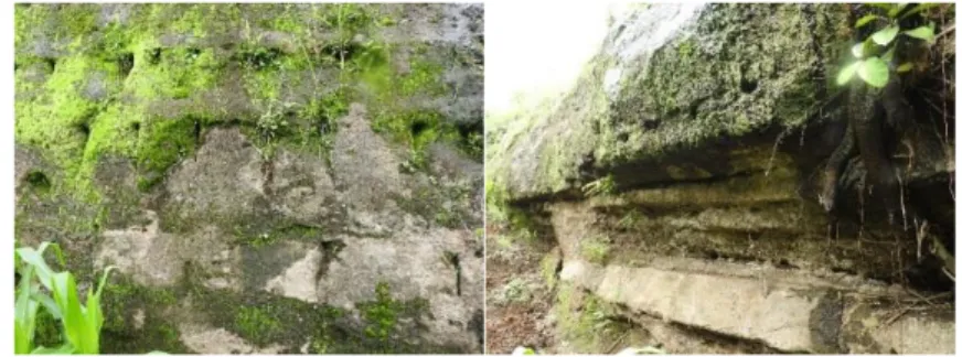 Gambar 2-1 Dinding bagian luar dari goa ( sumber : penulis, 2017)  Sementara  itu di bagian depan goa ditemukan adanya relief menyerupai  buaya