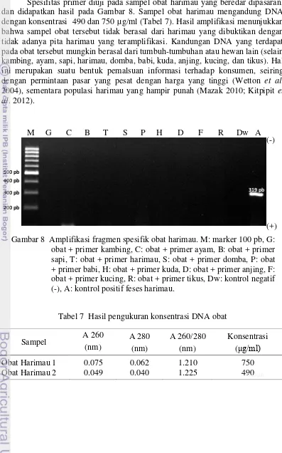 Gambar 8  Amplifikasi fragmen spesifik obat harimau. M: marker 100 pb, G: 