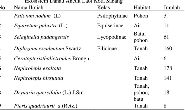 Tabel  4.1  Jenis Tumbuhan  Paku  (Pteridophyta) yang  Terdapat  di Kawasan Ekosistem Danau Aneuk Laot Kota Sabang