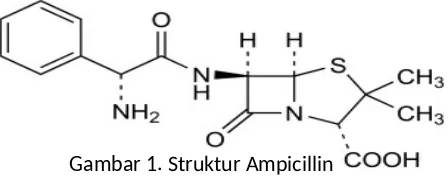 Gambar 1. Struktur Ampicillin
