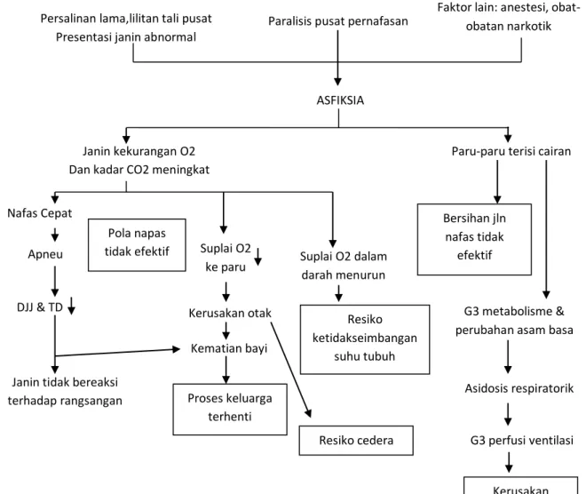 Gambar 2.1. Pathway asfiksia  (Sumber : Sudarti dan Fauziah, 2013)  2.1.5  Tanda dan gejala asfiksia   
