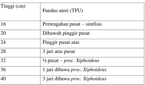 Tabel 2.4 TFU Menurut Penambahan Tiga Jari 