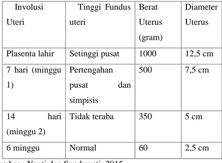 Tabel  2.7  Perubahan-Perubahan  Normal  Pada  Uterus  Selama  Postpartum  Involusi  Uteri  Tinggi  Fundus uteri  Berat  Uterus  (gram)  Diameter Uterus 