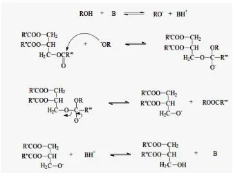 Gambar 2.3  Mekanisme reaksi transesterifikasi trigliserida dengan katalis basa 