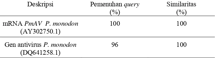 Tabel 2  Similaritas sekuen gen antivirus PmAV udang windu P. monodon dengan gen antivirus pada Bank Gen  