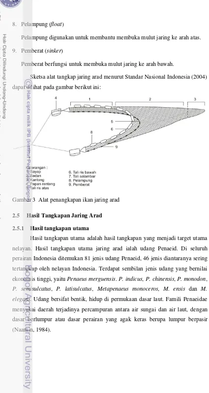 Gambar 3 Alat penangkapan ikan jaring arad