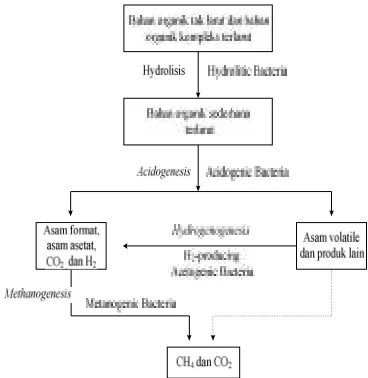 Gambar 1. Lintasan Degradasi Senyawa OrganikKompleks dalam Proses Anaerob