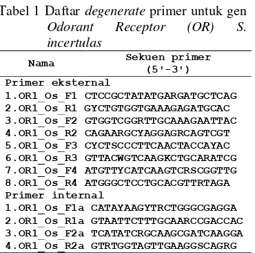 Tabel 1 Daftar degenerate primer untuk gen 