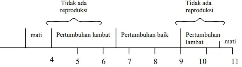 Gambar berikut : 