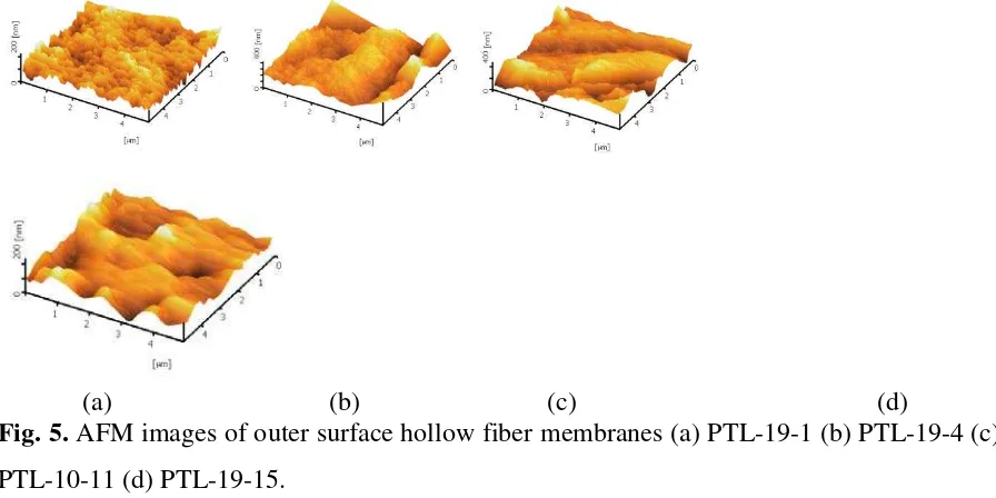 Table 4. Results of the AFM analysis of the outer surfaces of PVDF hollow fiber membranes 