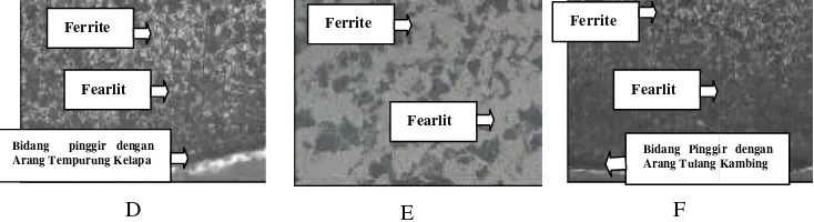 Figure 5. Micro Structure of low carbonBefore carburization, Edge seccharcoal (T = 900oC and HT =coconut shell charcoal (T = carburization using goat bone cf