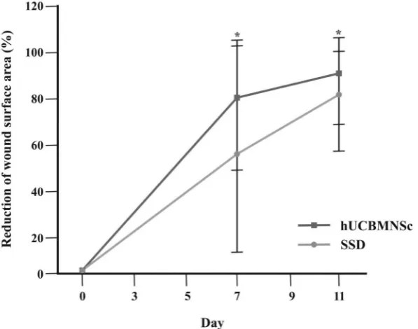 Figure 1. Wound surface area of hUCBMNCs- and SSD-treatment on days 7 and 11. Data represent mean values ± SD (n = 16)