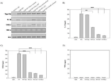 Gambar 5 Perbandingan Daya Hambat Ekspresi Berbagai Gen Sitokin Proinflamasi (a), IL-Terinfeksi HIV1β (b), COX-2 (c), TNF-α (d) antara Curcumin, AZT, Nanocurcumin pada Sel yang 18 