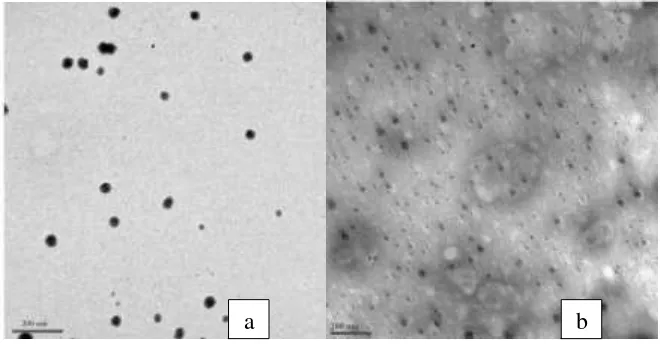 Gambar 1 a. Nanocurcumin b. Nanoapotransferrin 