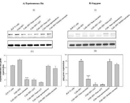 Gambar 3 Perbandingan Ekspresi Gen Enzim Topoisomerase II dan  Gen Gag pada Sel Normal dan Sel yang Terinfeksi HIV Tanpa Pengobatan dan dengan Pengobatan AZT, Nano-AZT, Nanocurcumin, dan Soluble-Curcumin18 
