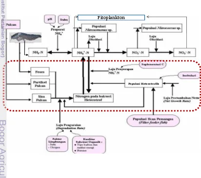 Gambar 4. Proses bakteriologis dalam siklus nitrogen di kolam pemeliharaan