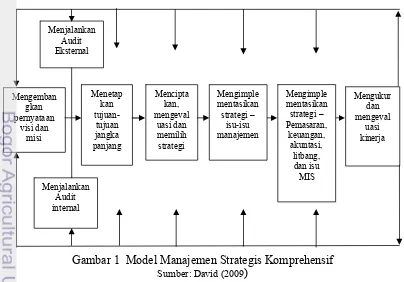 Gambar 1  Model Manajemen Strategis Komprehensif 