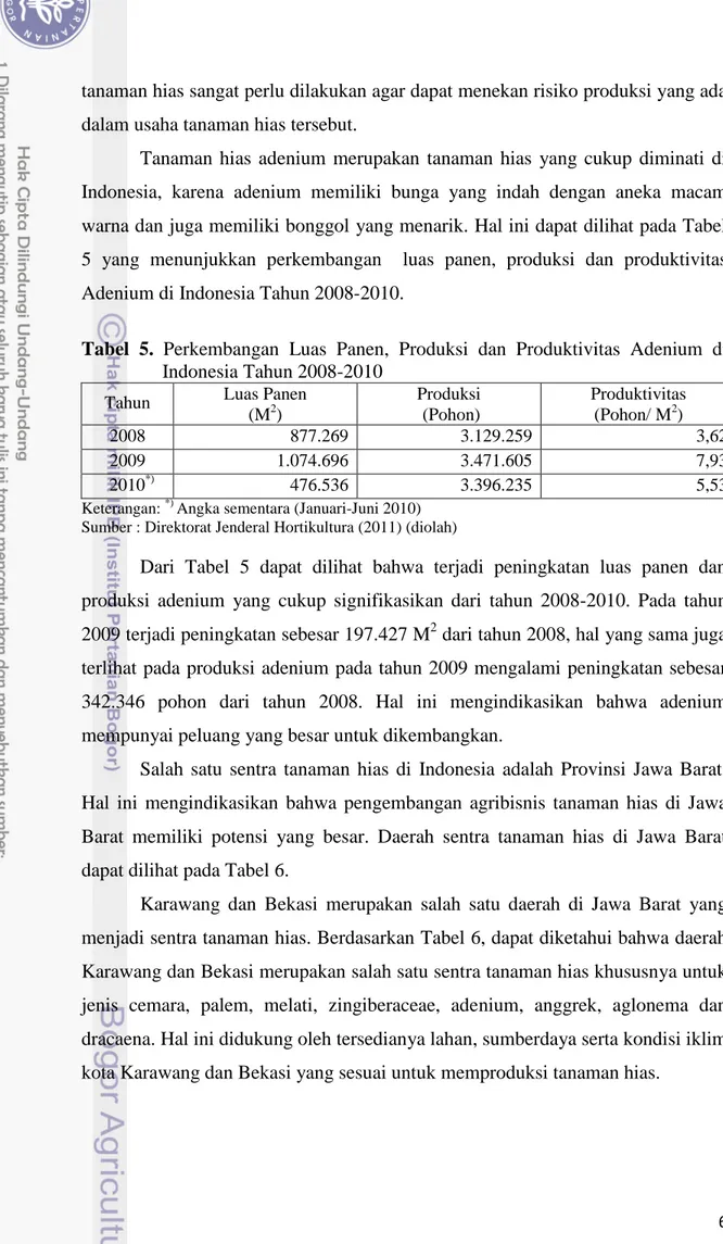 Tabel  5.  Perkembangan  Luas  Panen,  Produksi  dan  Produktivitas  Adenium  di  Indonesia Tahun 2008-2010 