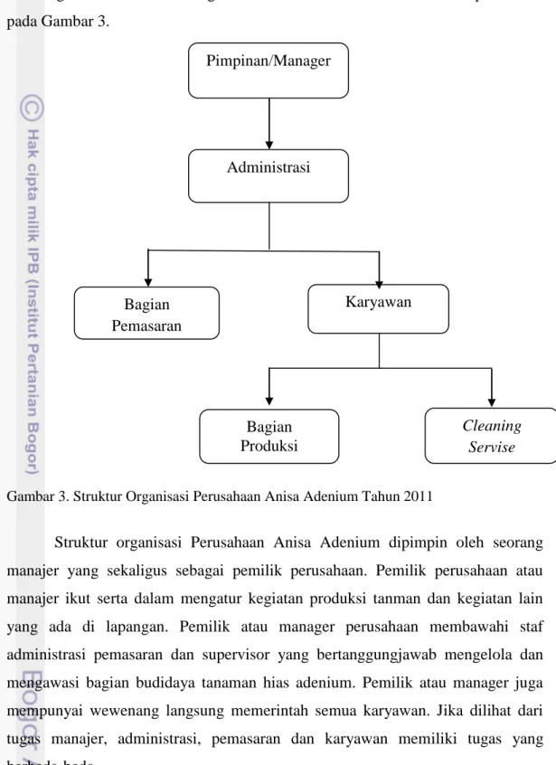 Gambar 3. Struktur Organisasi Perusahaan Anisa Adenium Tahun 2011   