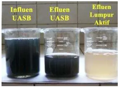 Gambar 17.  Influen dan Efluen Reaktor  UASB dan Lumpur Aktif  