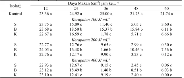 Tabel 2. Rata-rata daya makan per individu larva S. litura