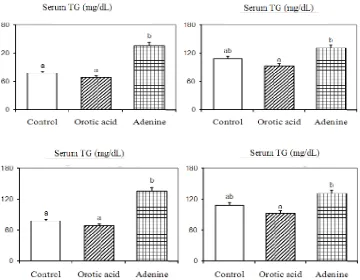 Figure 4. The activities of lipogenic and lipolytic enzymes 