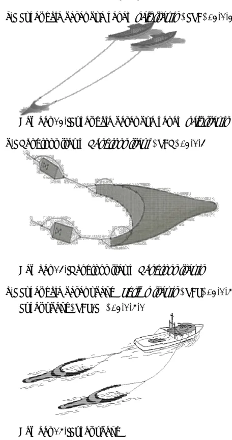 Gambar 13. Pukat hela dasar dua kapal ( pair trawls )  d.  Nephrops trawl ( Nephrops trawl) , TBN, 03.1.4 