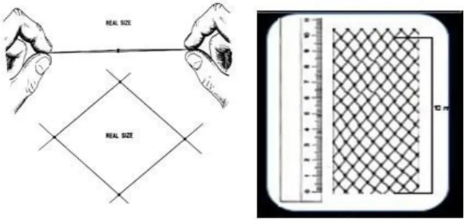 Gambar 9.  Cara Sederhana Mengukur Mata Jaring (mesh size)  
