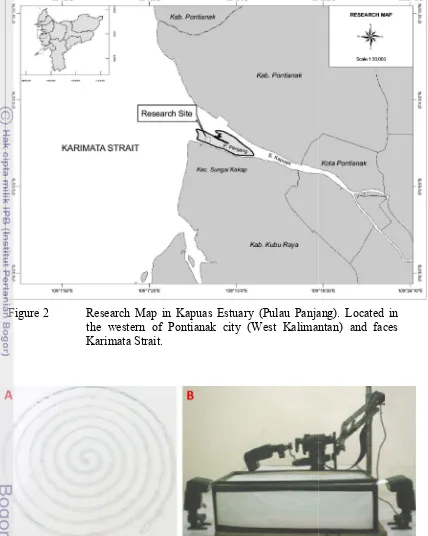 Figure 2 Research Map in Kapuas Estuary (Pulau Panjang). Research Map in Kapuas Estuary (Pulau Panjang)